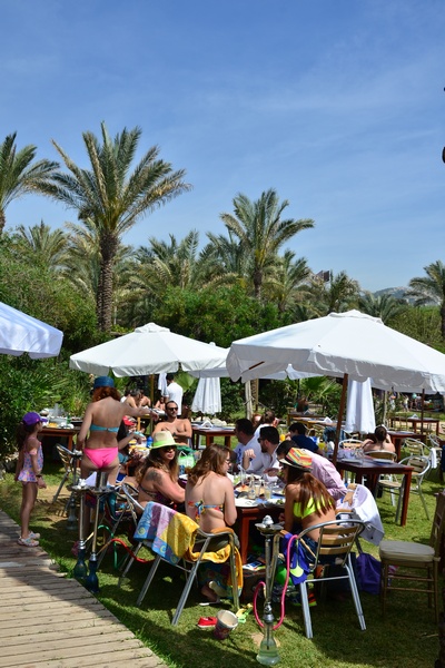 Edde Sands on Sunday